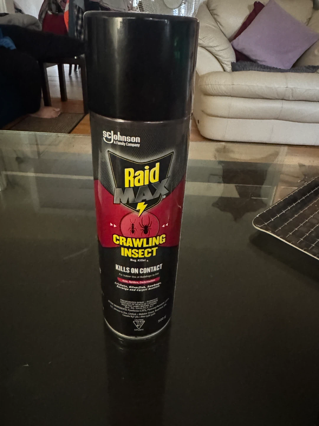 Raid Max Crawling Insect Bug Killer 500g - photo 2