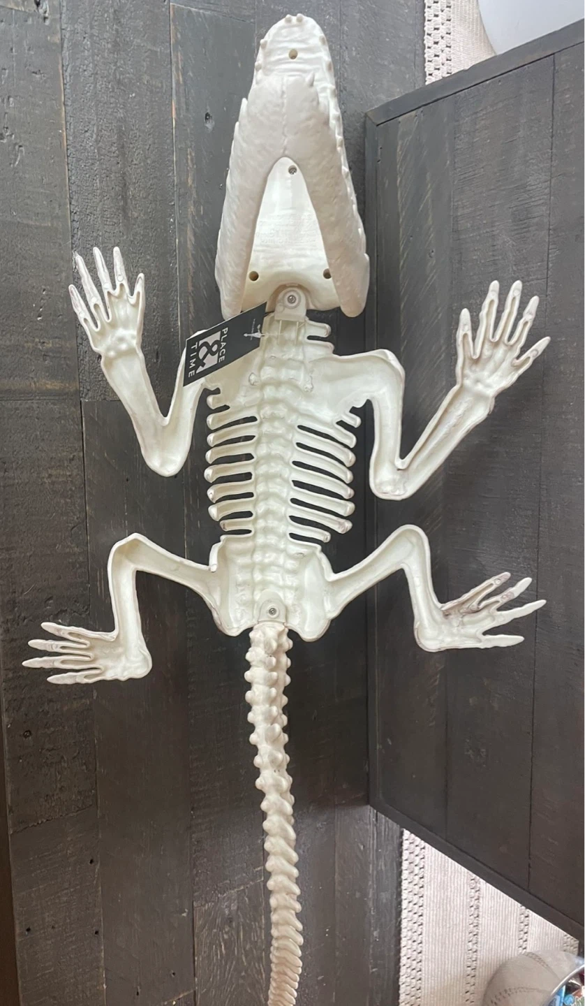 NEW- Giant Skeleton Crocodile / Alligator - Faux - photo 3