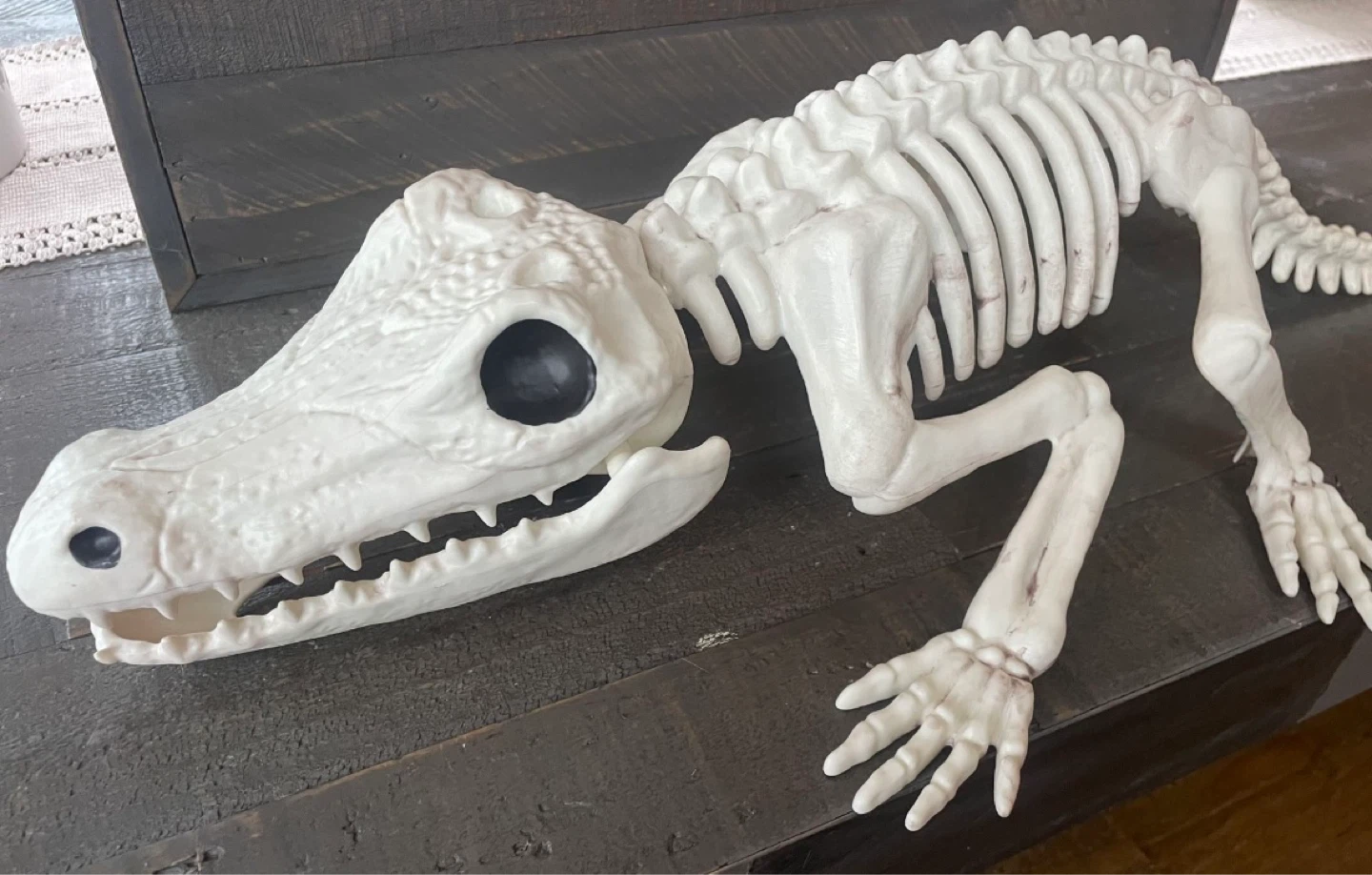 NEW- Giant Skeleton Crocodile / Alligator - Faux - photo 2