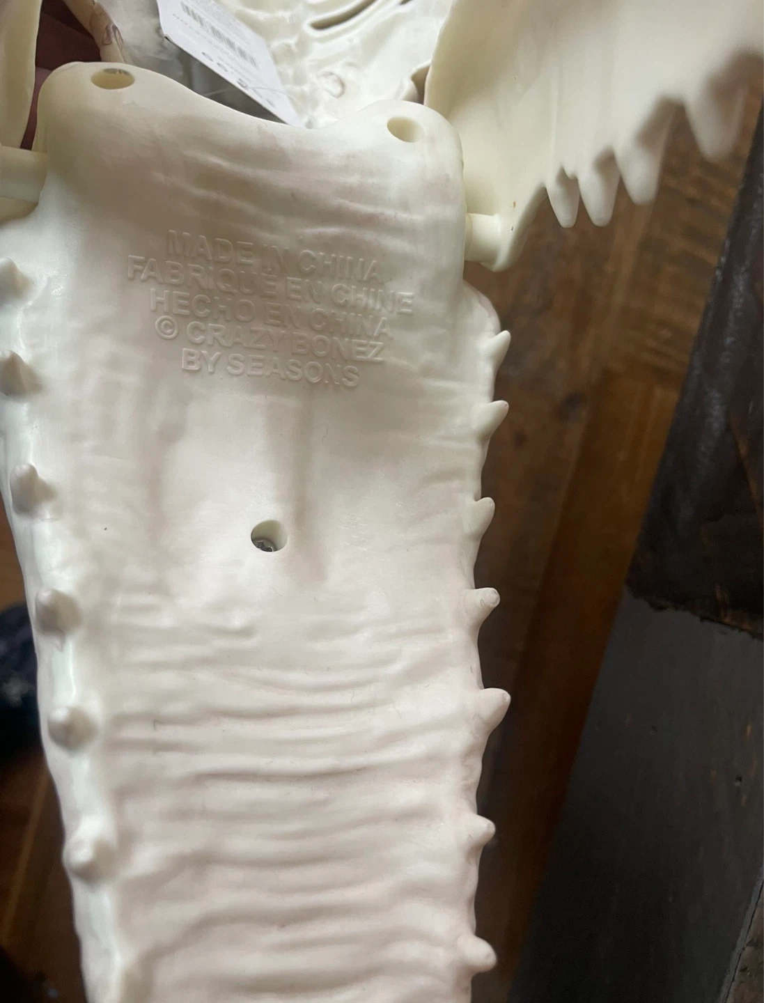 NEW- Giant Skeleton Crocodile / Alligator - Faux - photo 4