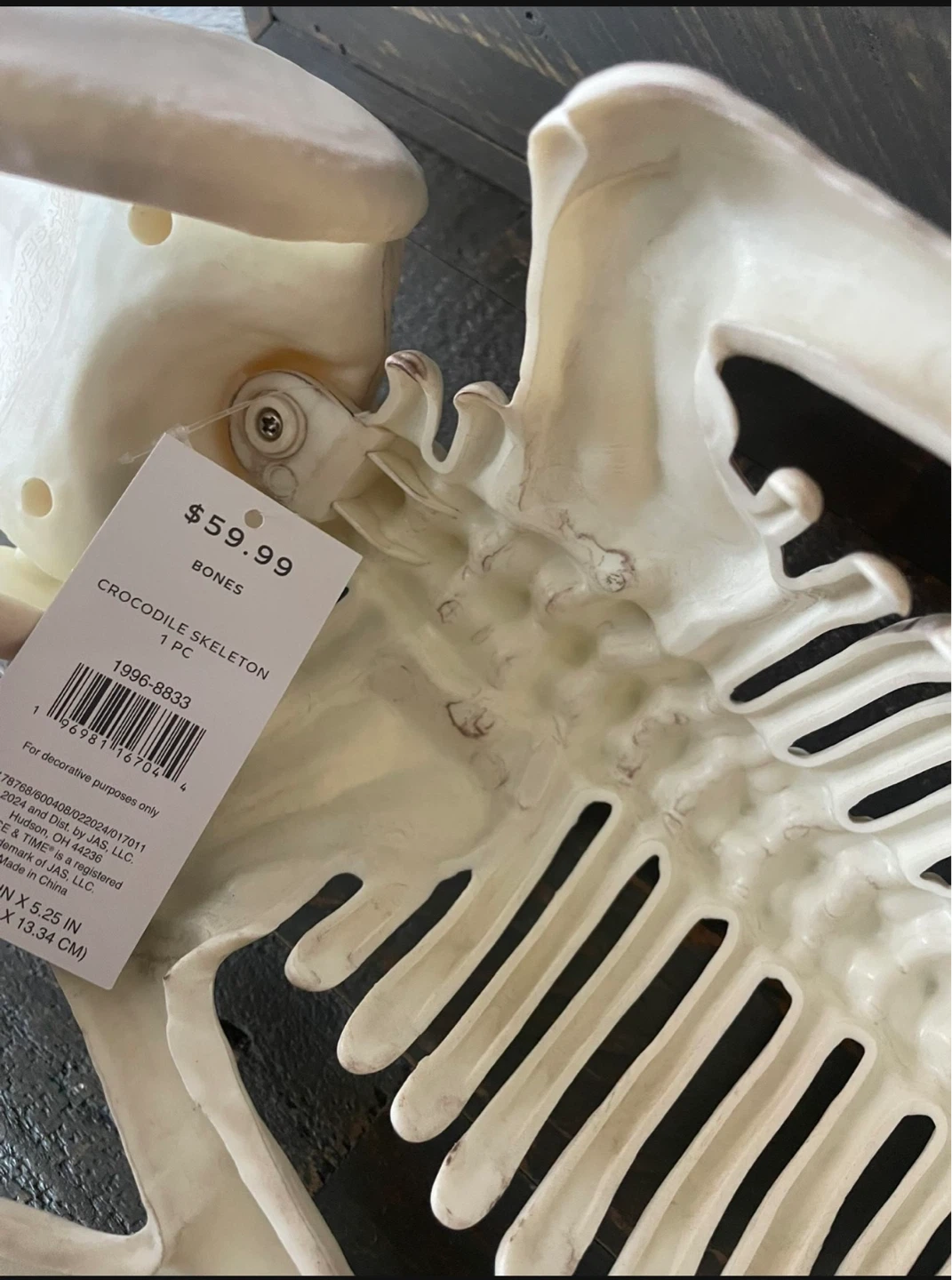 NEW- Giant Skeleton Crocodile / Alligator - Faux - photo 5