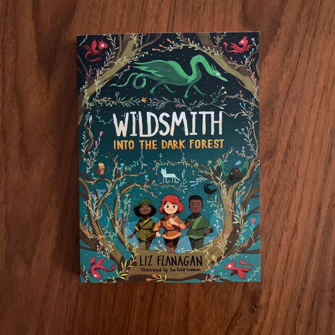 Wildsmith: Into the Dark Forest by Liz Flanagan