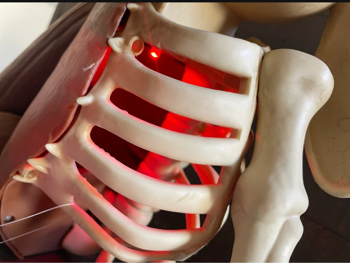 NEW - Home & Accents Grave & Bones Skeleton Bunny - Lights Up - photo 5