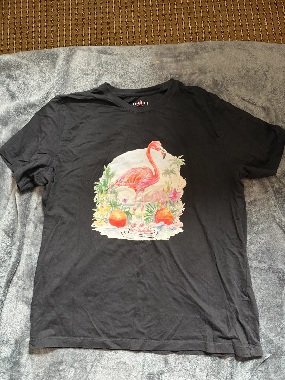 Jordan Flamingo Graphic T-Shirt