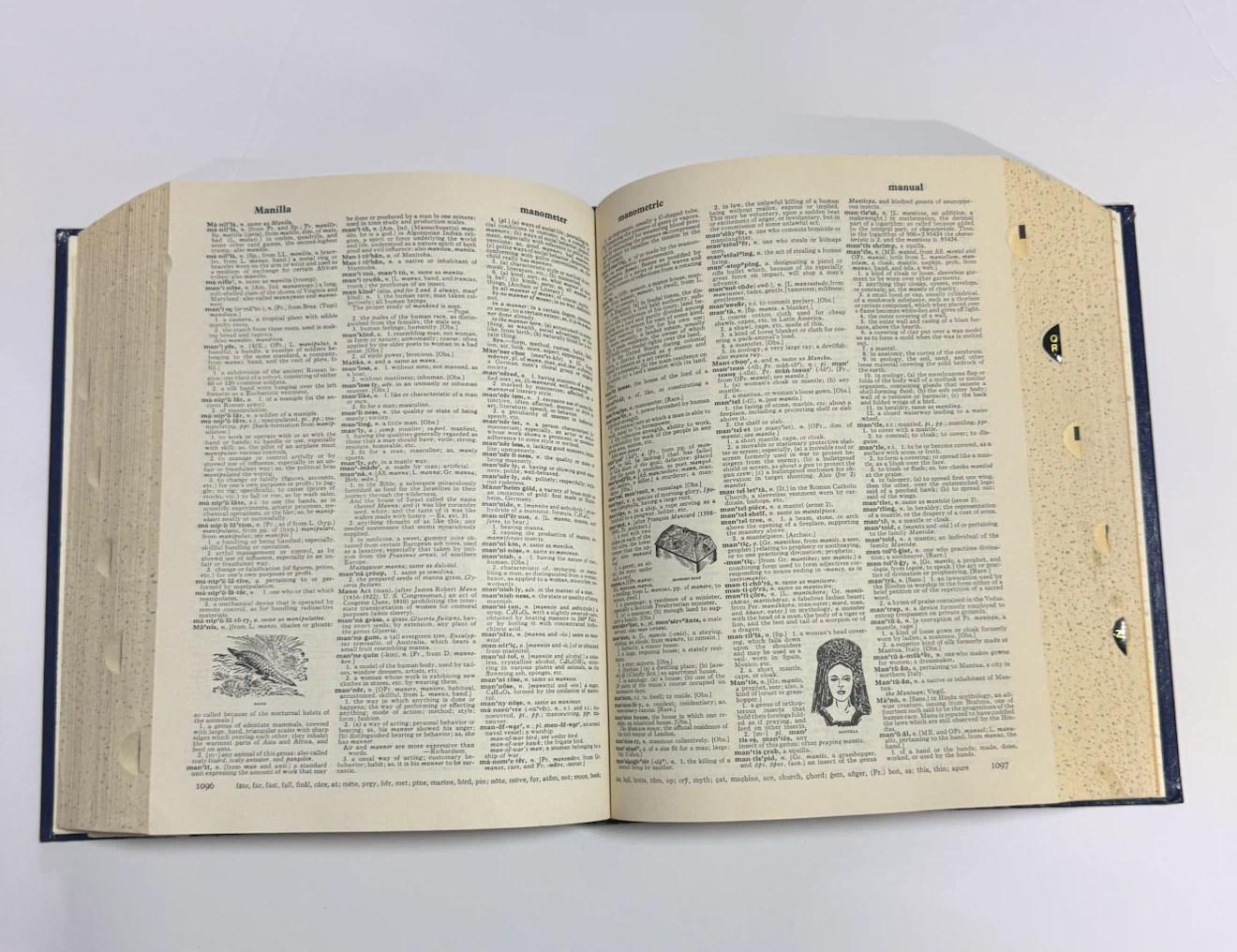 Webster's Deluxe Unabridged Dictionary Second Edition - photo 2