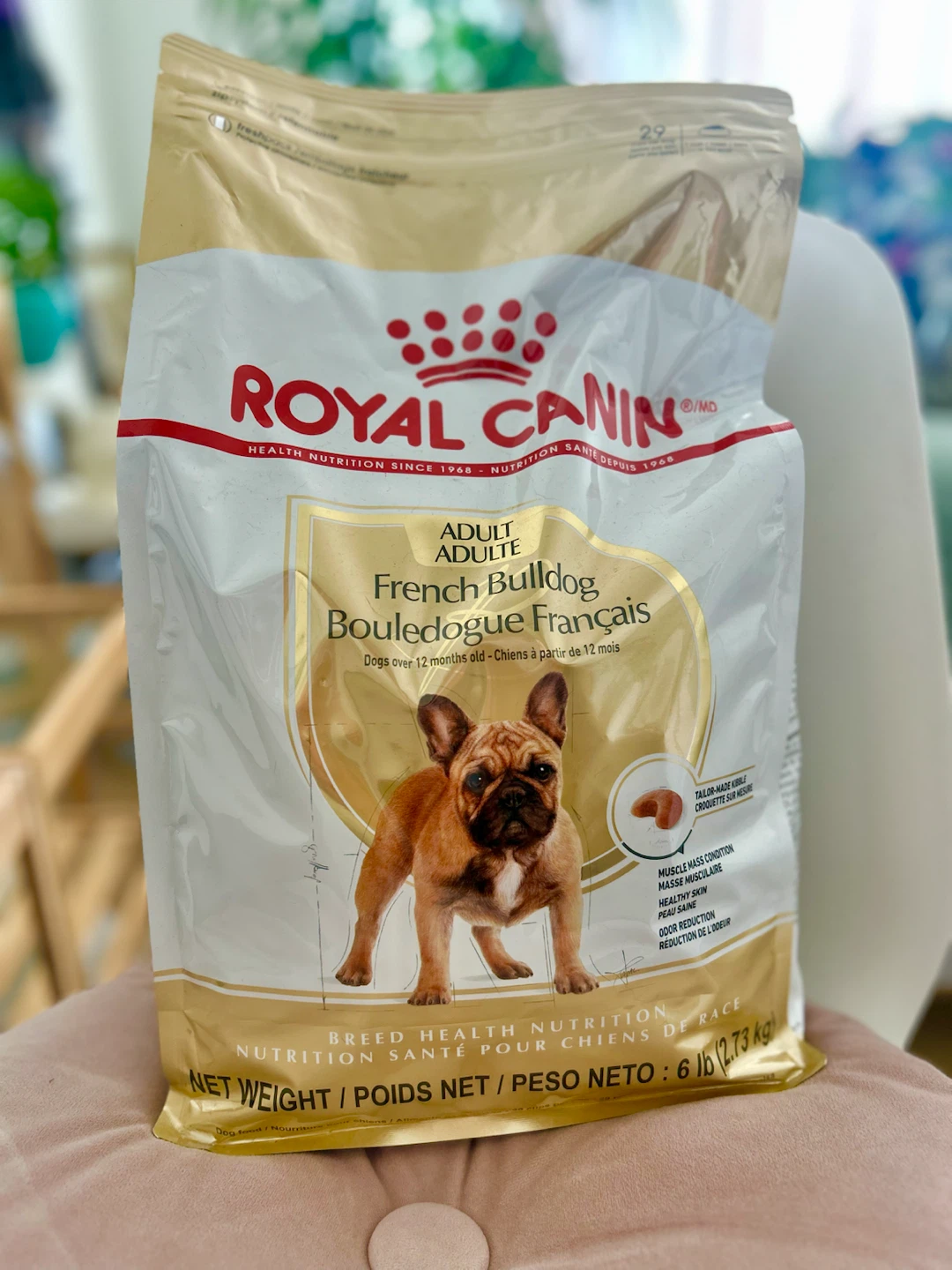 Royal Canin French Bulldog Adult Dog Food