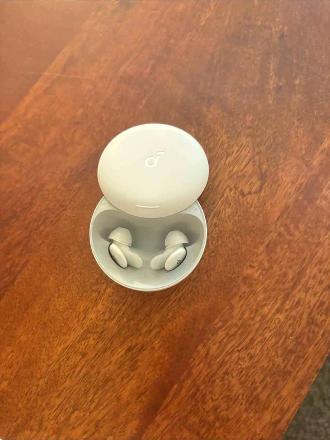 Soundcore Sleep A10 Earbuds