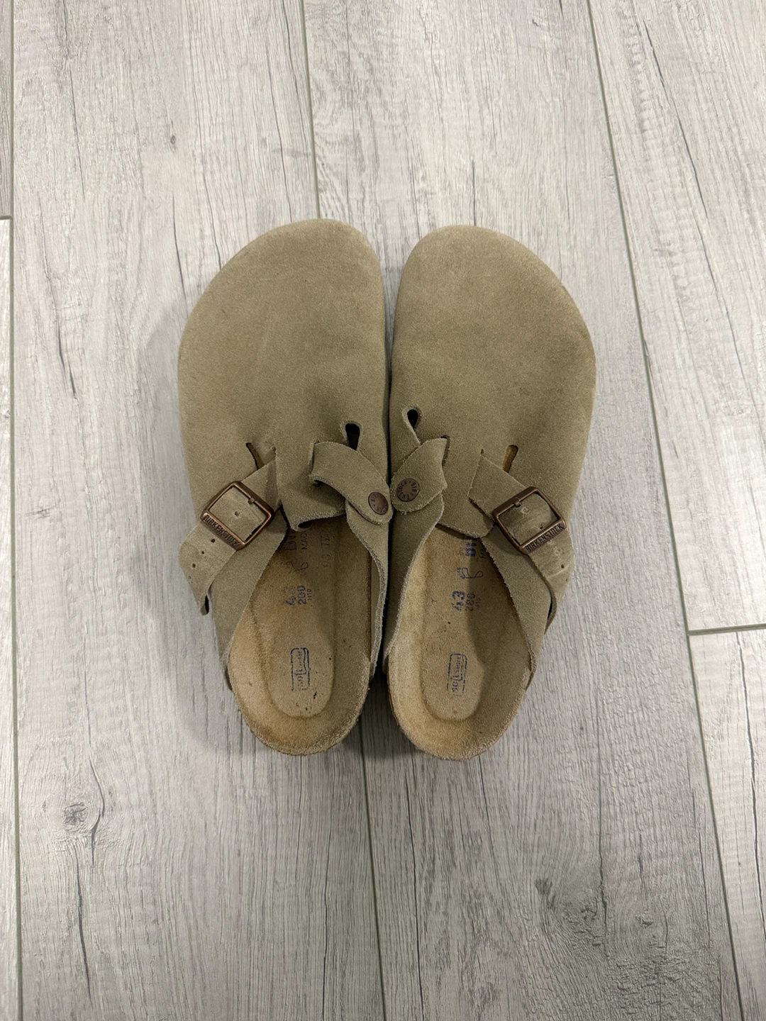 Birkenstock taupe