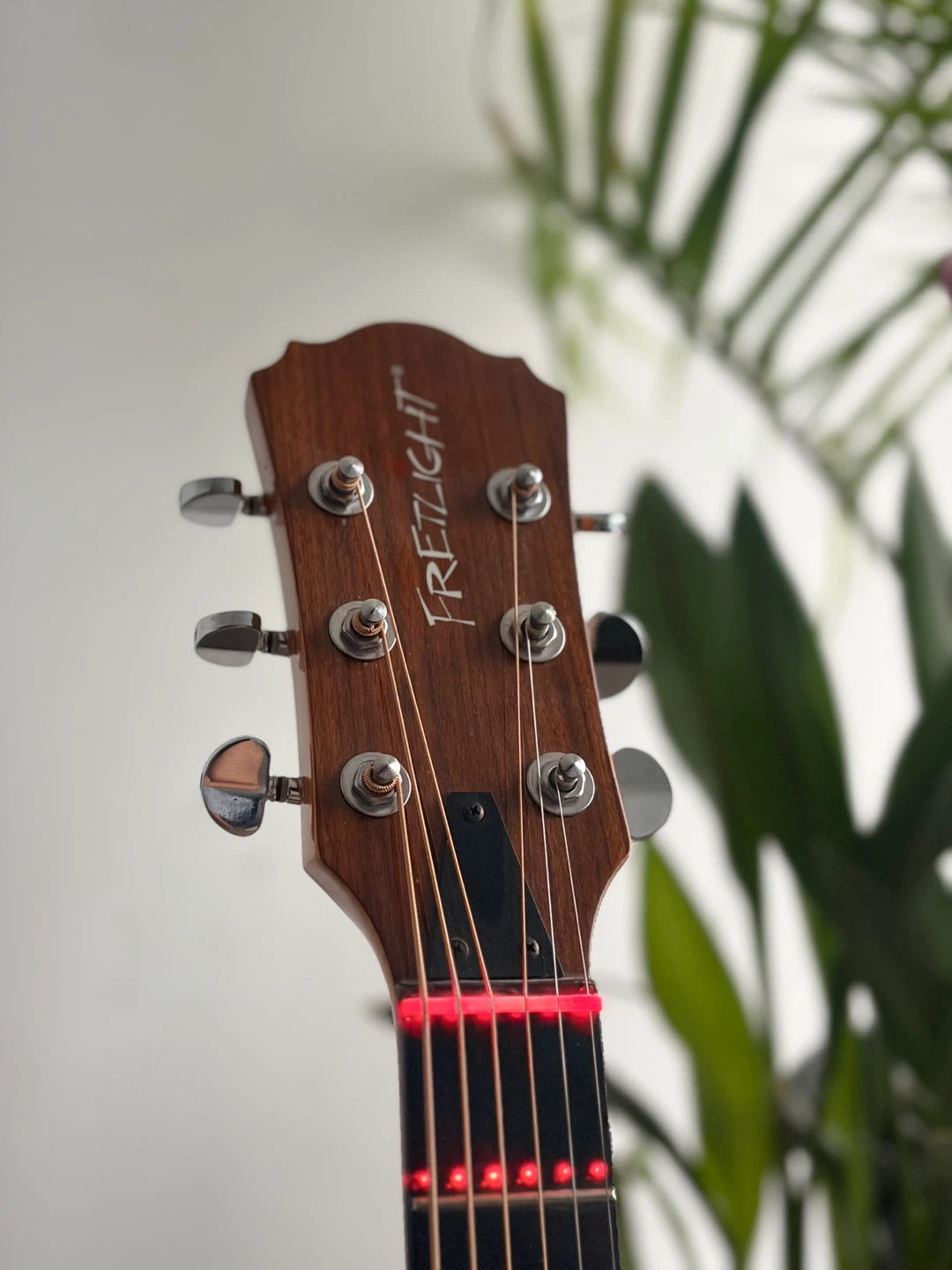 Guitar that shows you where to play Semi acoustic guitar - photo 3