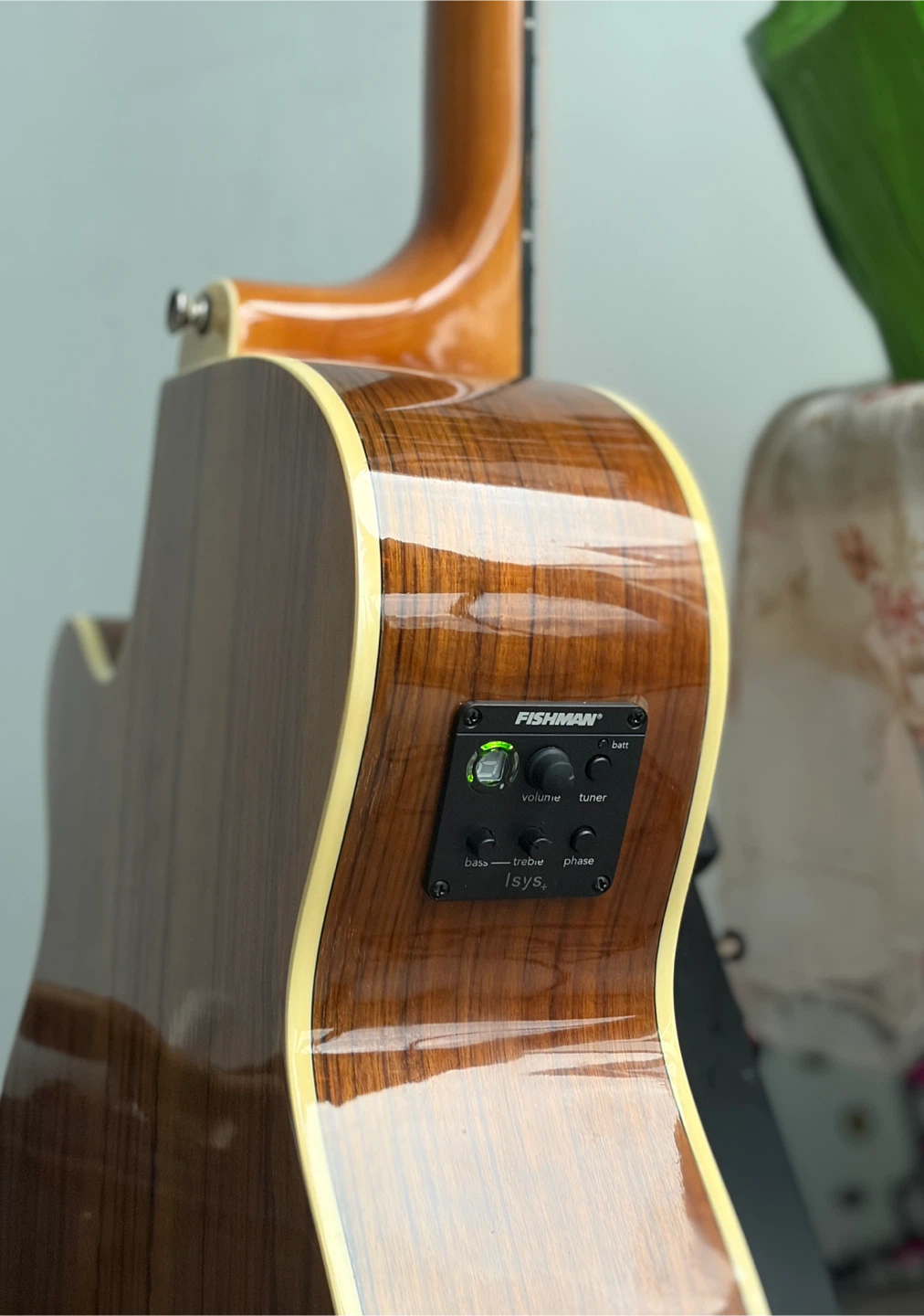 Guitar that shows you where to play Semi acoustic guitar - photo 4