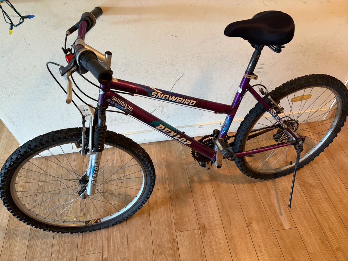 Dunlop Snowbird 21-Speed Mountain Bike