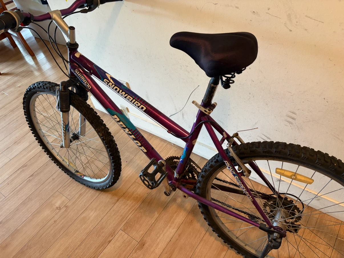 Dunlop Snowbird 21-Speed Mountain Bike - photo 2