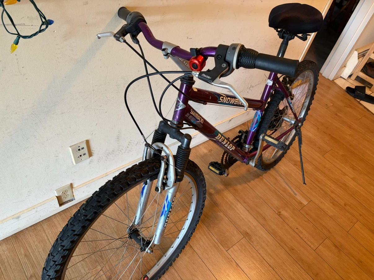 Dunlop Snowbird 21-Speed Mountain Bike - photo 3