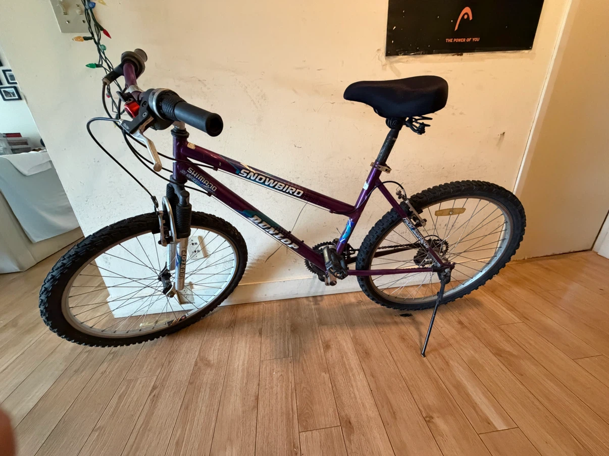Dunlop Snowbird 21-Speed Mountain Bike - photo 4