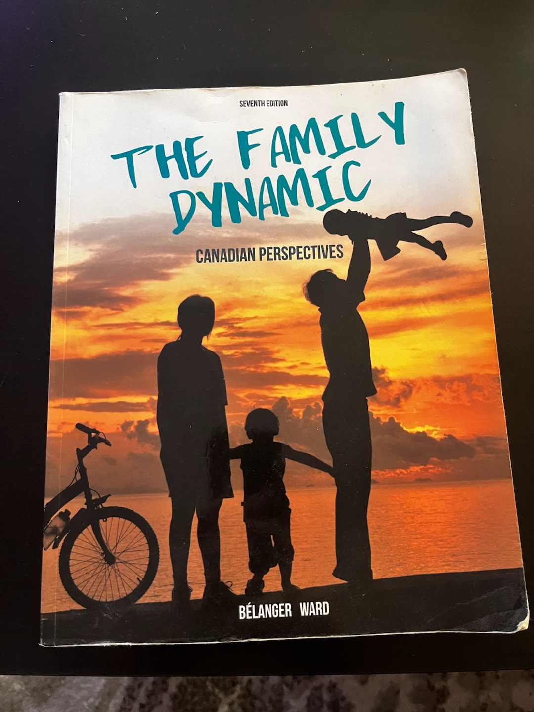 The family dynamic, Canadian perspectives, seventh edition