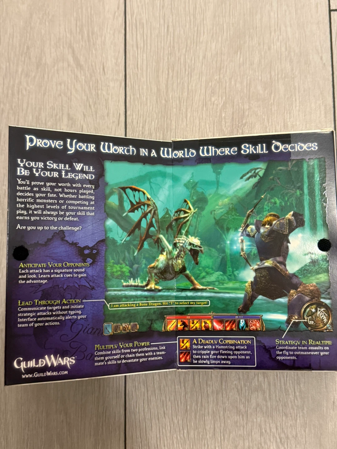 Guild Wars PC Game - photo 3