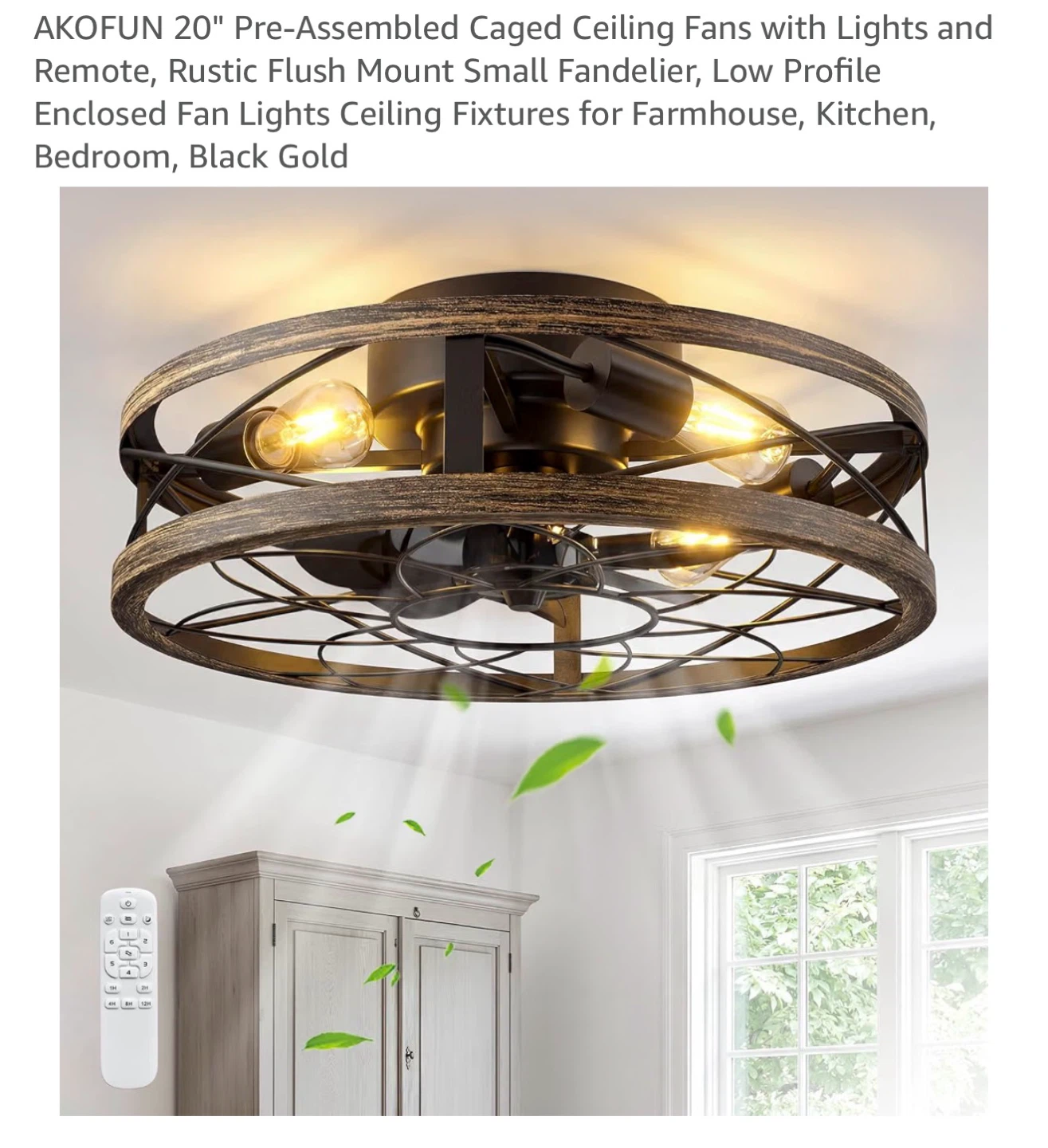 AKOFUN 20" Caged Ceiling Fan with Lights