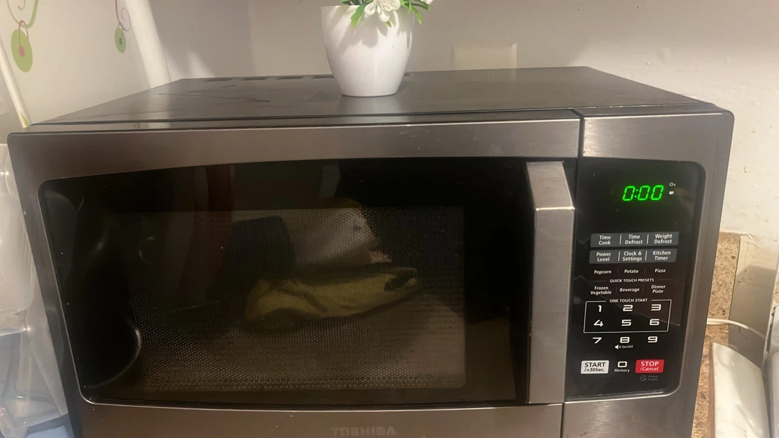 Toshiba Countertop Microwave