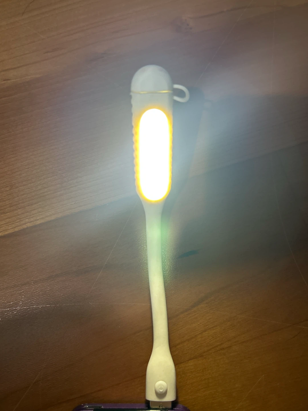 Portable White LED Reading Light