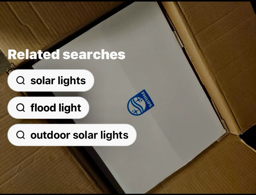 Philips Keene LED Outdoor Floodlight - photo 2
