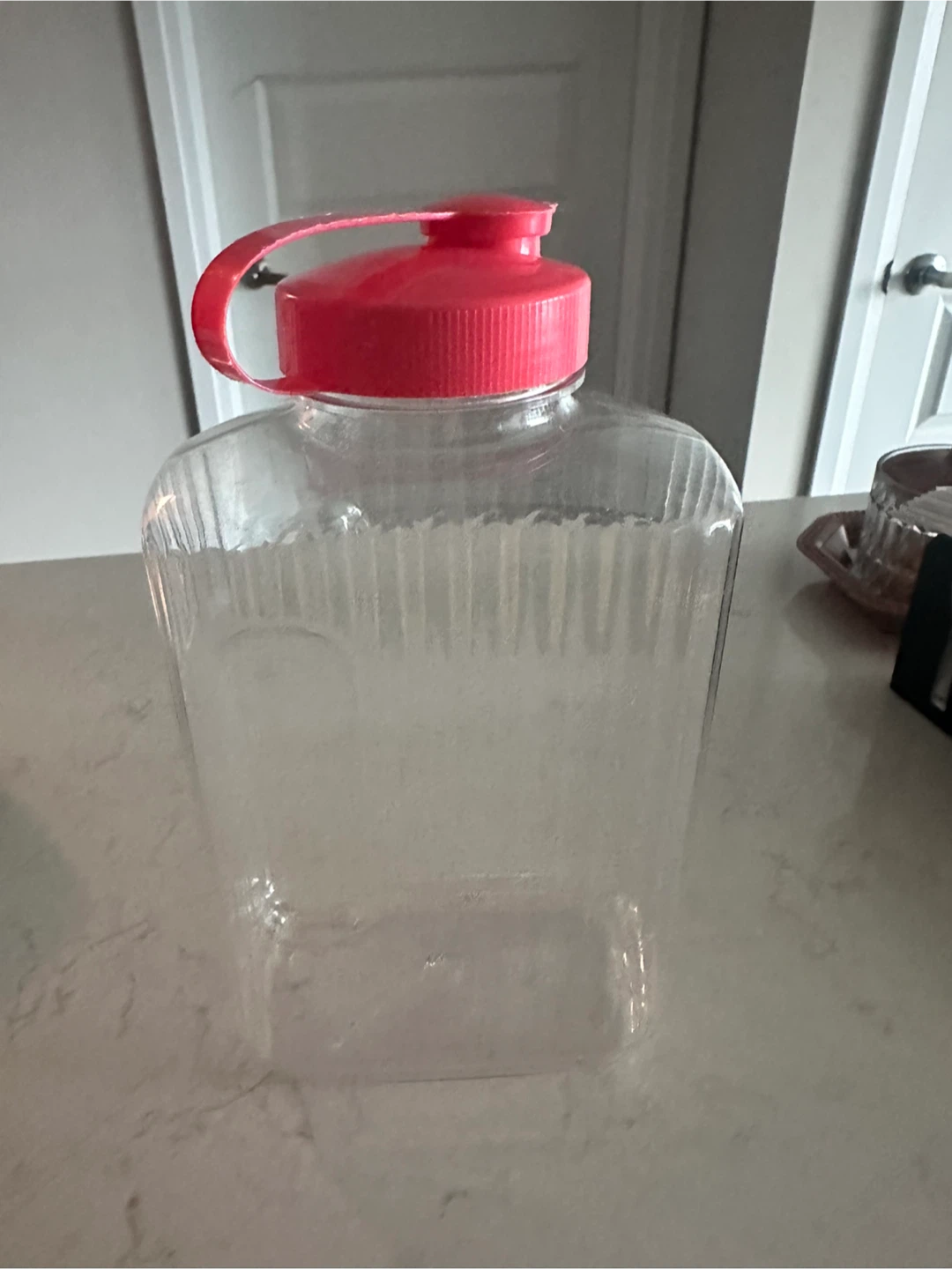 Clear Plastic Jug with Pink Cap - photo 2