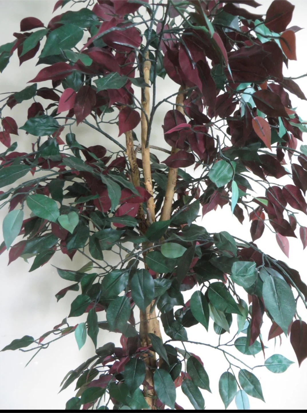 Artificial Plant - photo 2