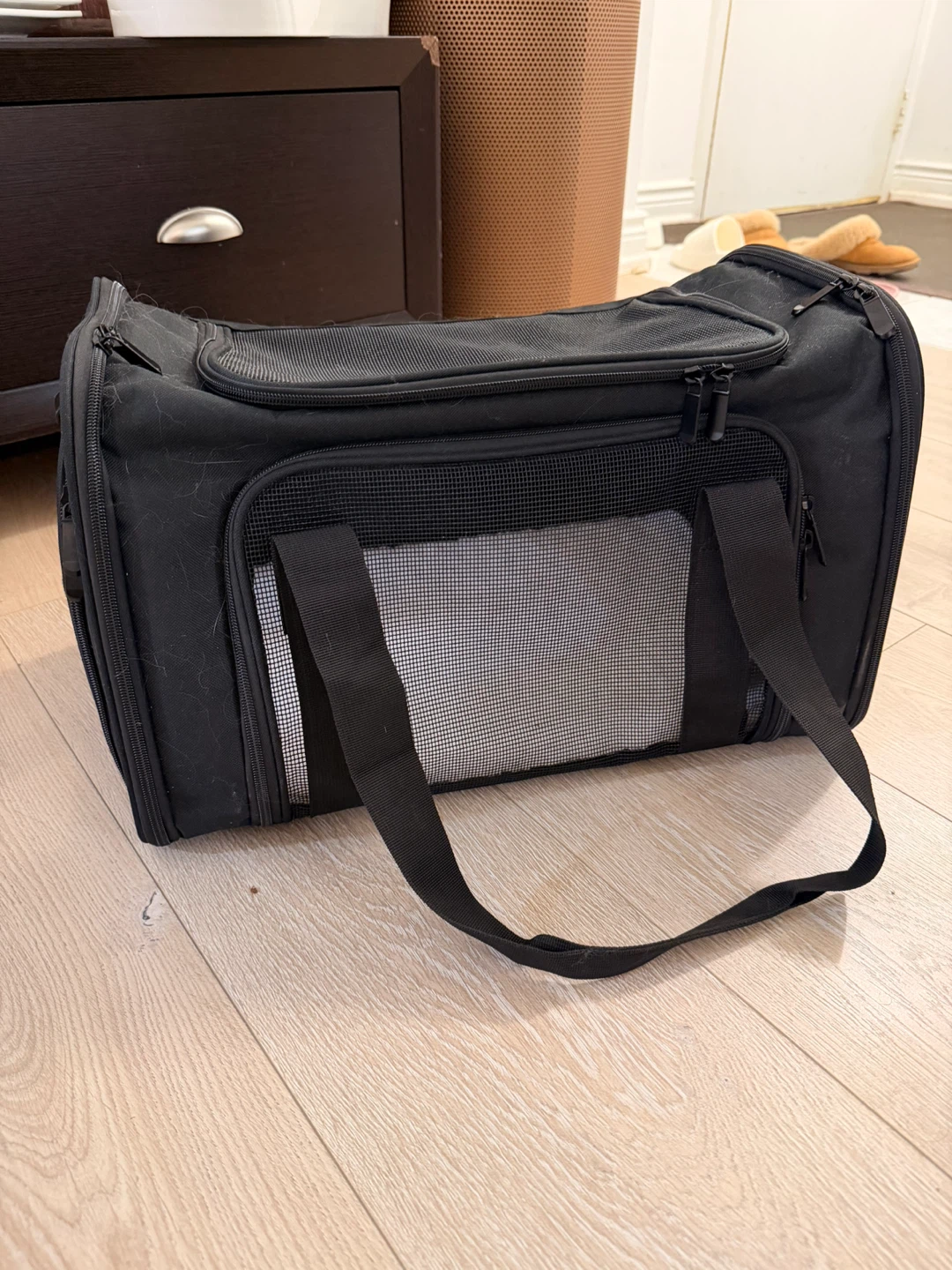 Black soft-sided pet carrier