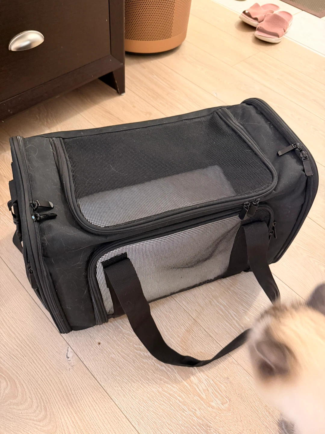 Black soft-sided pet carrier - photo 2