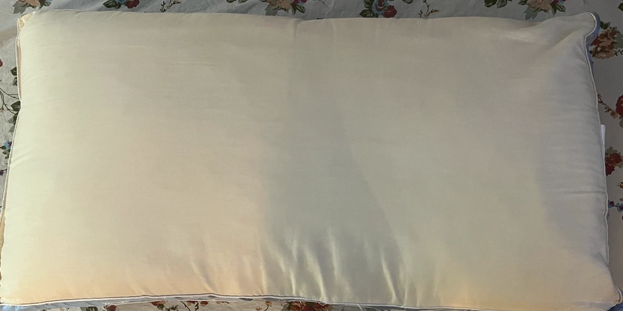 Sealy Extra Firm Support Pillow - photo 2