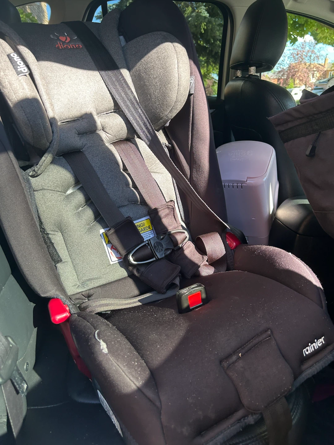 Diono Rainier Convertible Car Seat