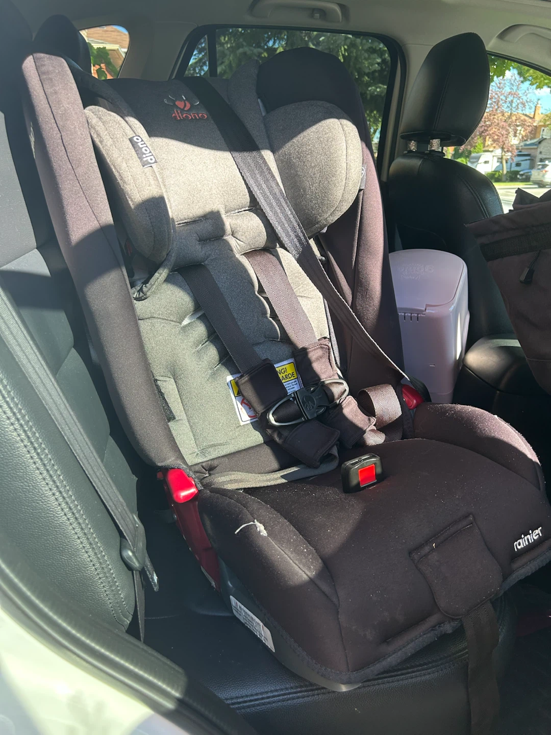 Diono Rainier Convertible Car Seat - photo 2
