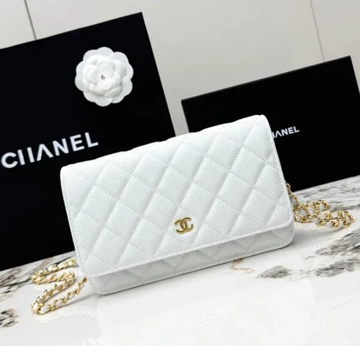 Chanel Quilted Wallet on Chain Bag