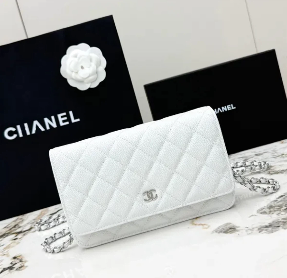Chanel Quilted Wallet on Chain Bag - photo 2