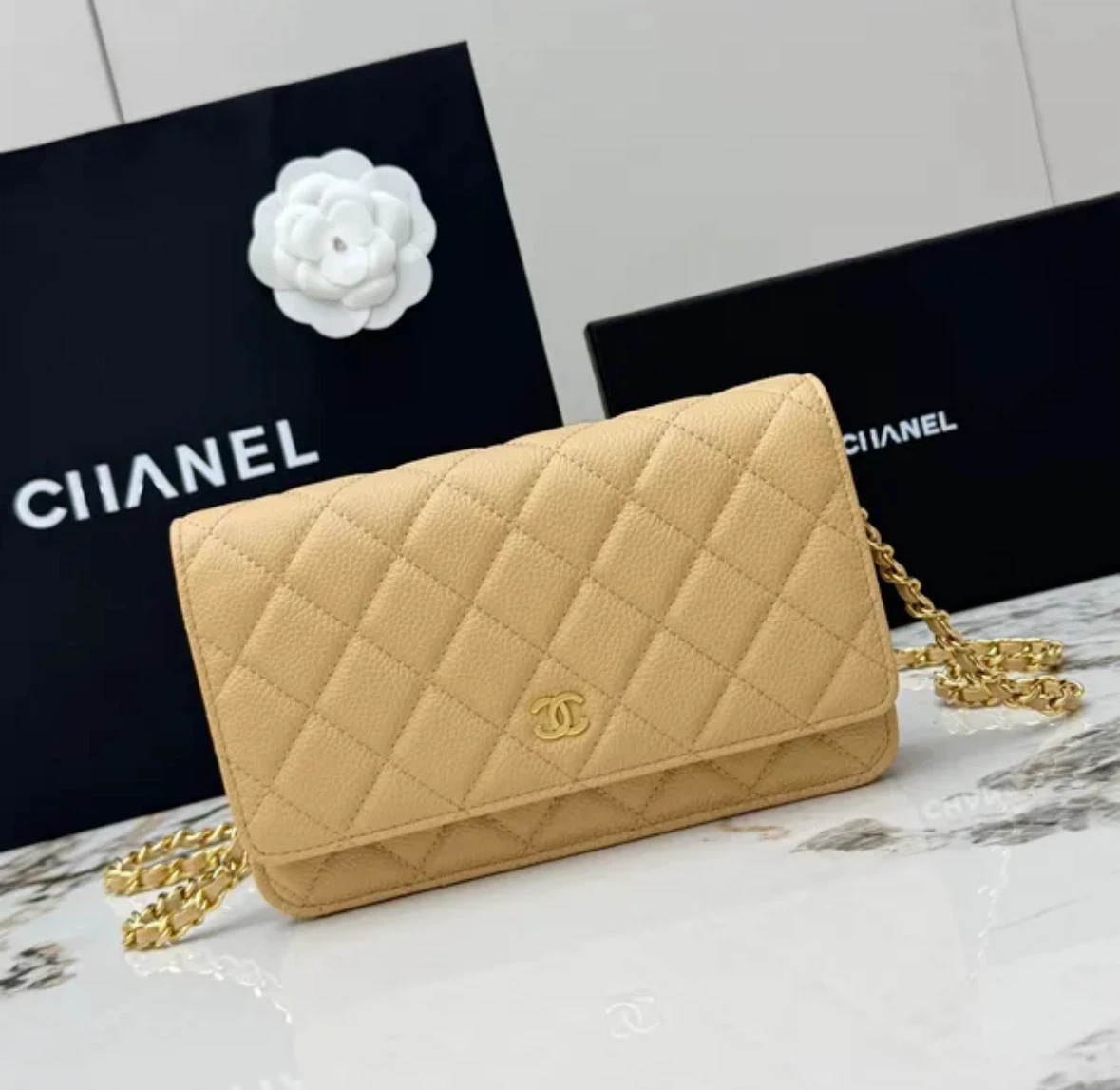 Chanel Wallet on Chain (WOC) Beige