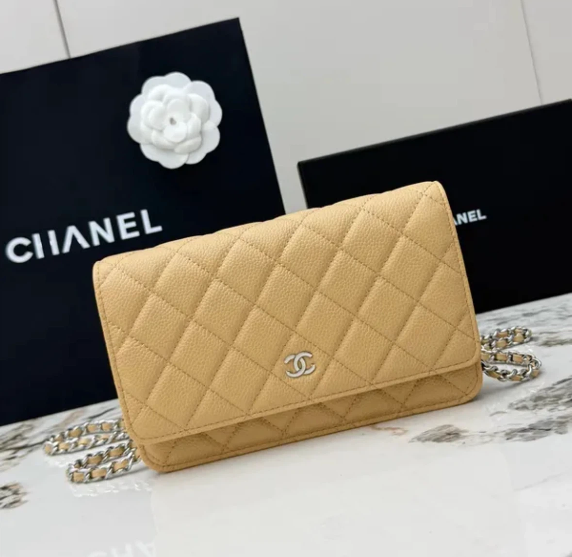 Chanel Wallet on Chain (WOC) Beige - photo 2