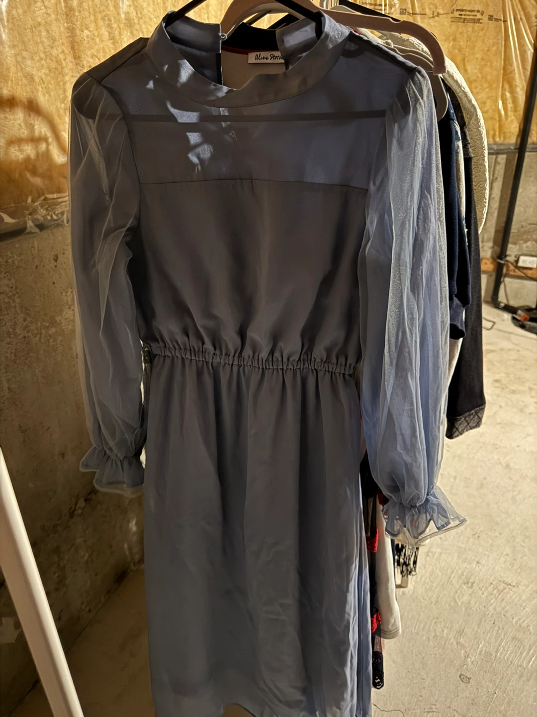 Alive Stories Blue Dress