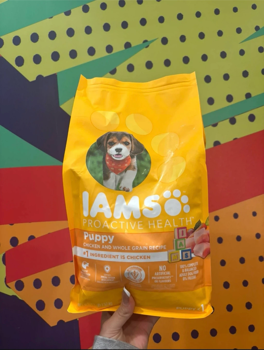 ALL IAMS DOG FOOD BAGS -$5 EACH - photo 2