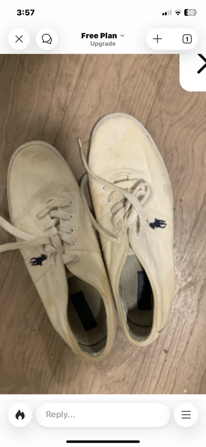 Polo Ralph Lauren Halford Canvas Shoes - Size 12D