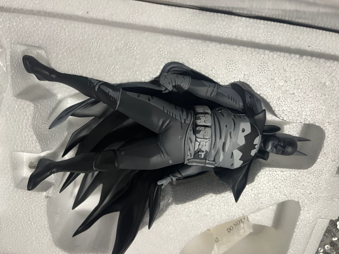 DC Direct Batman Black and White Statue by Mike Mignola - photo 5