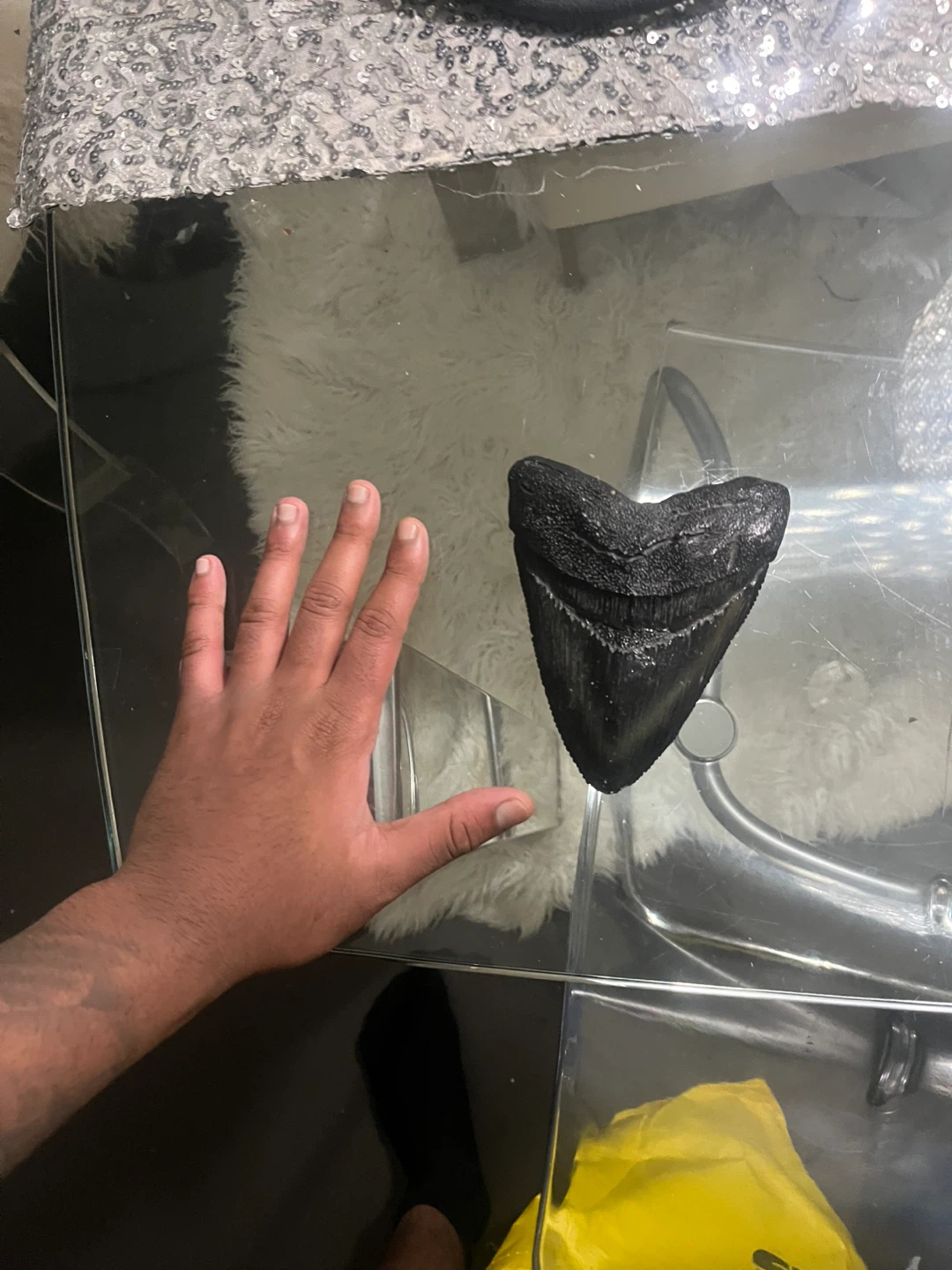 Large Megalodon Shark Tooth Fossil replica - photo 2