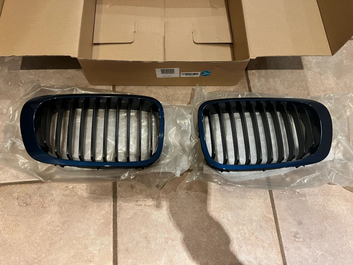 BMW E46 Coupe Kidney Grille Set - Mystic Blue