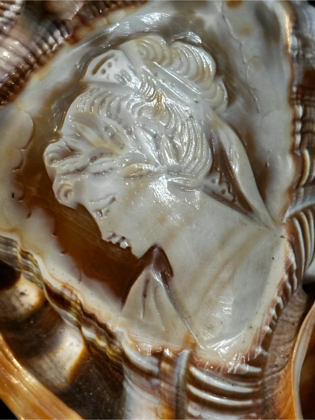 Vintage Italian Hand-Carved Cameo Shell Portrait - photo 3