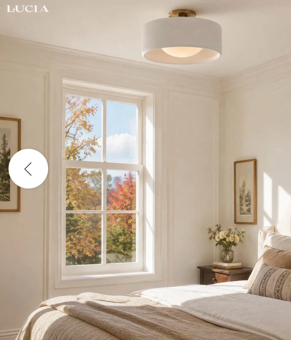 Lucia Flush Mount Ceiling Light - photo 2