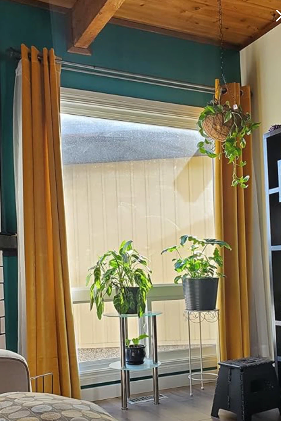 Mustard Yellow Velvet Curtains