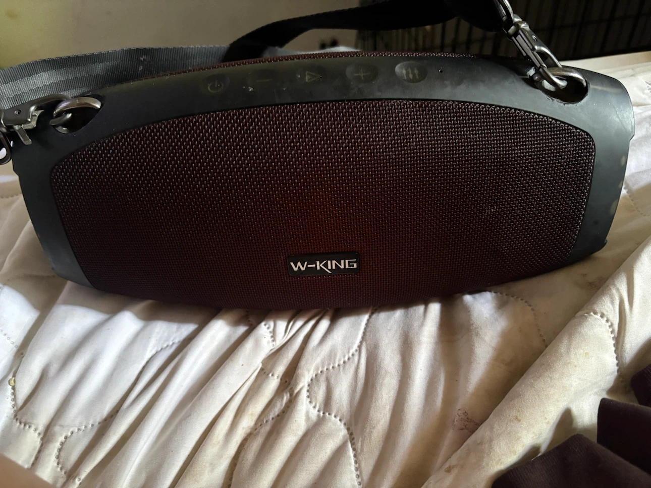 W-King Bluetooth speaker