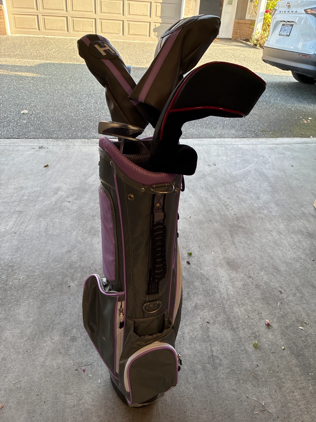 Hagen golf bag with headcovers