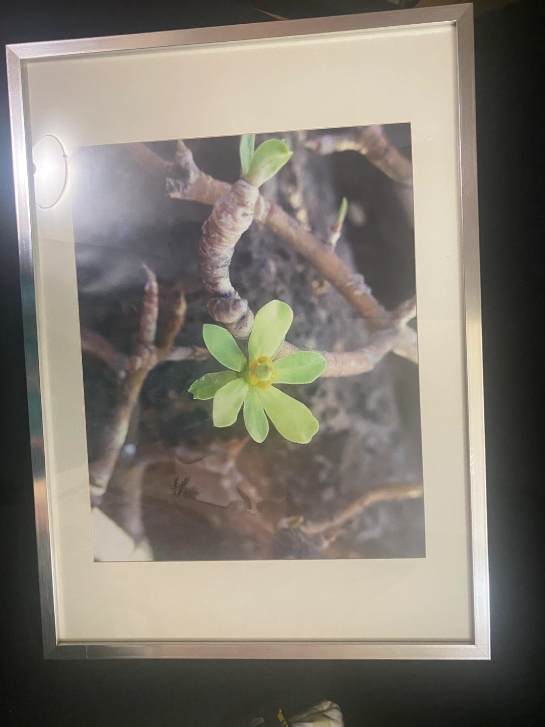 IKEA Ribba Frame - photo 4