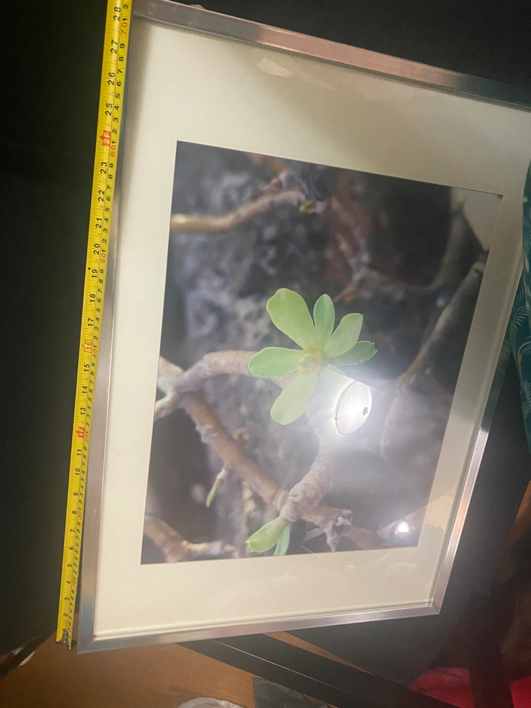 IKEA Ribba Frame - photo 5