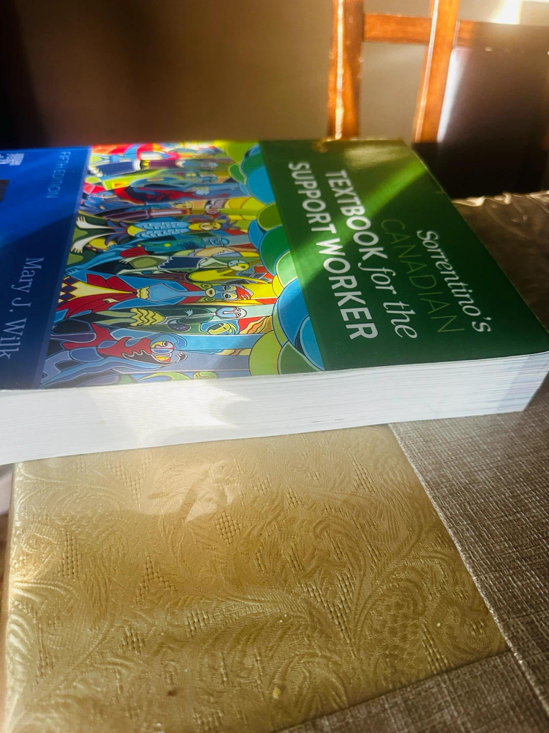 Sorrentino's Canadian Textbook for the Support Worker 5th Ed - photo 3