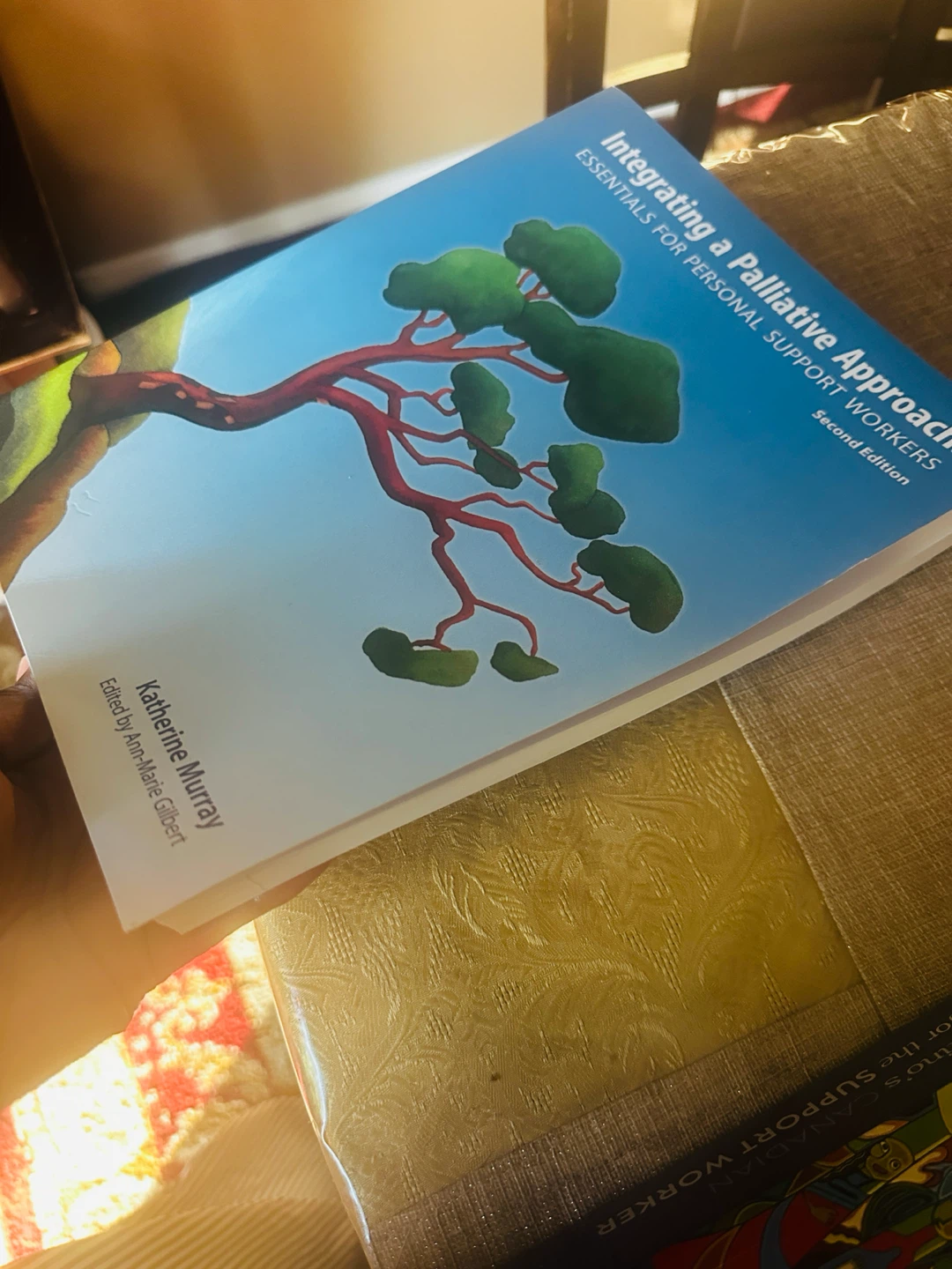 Integrating a Palliative Approach Second Edition Book
